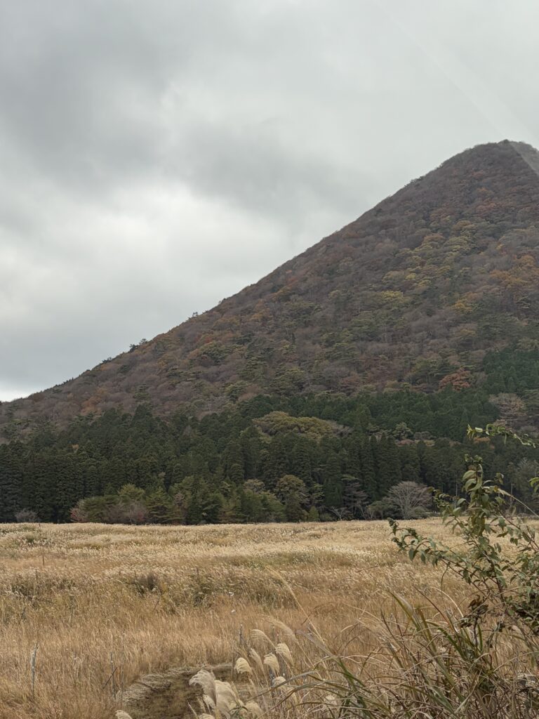 別府から湯布院の紅葉